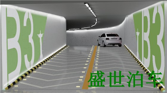 中侨停车场坡道成果