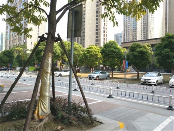 871531754460089931_meitu_5