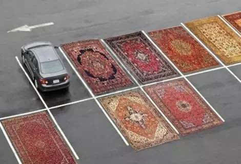 146945782662284329